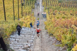 Des travaux seront réalisés sur le parcours du KM Vertical, depuis les Garettes vers la plaine, dès le 7 juillet 2025.